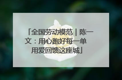 全国劳动模范｜陈一文：用心跑好每一单 用爱回馈这座城