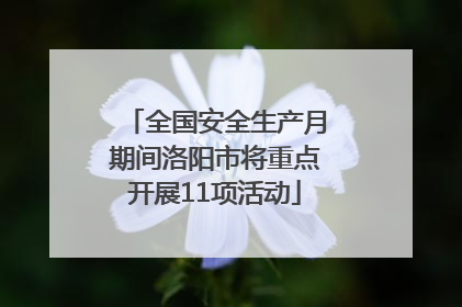 全国安全生产月期间洛阳市将重点开展11项活动
