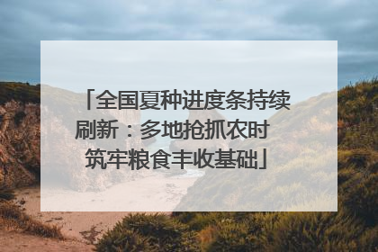 全国夏种进度条持续刷新：多地抢抓农时 筑牢粮食丰收基础