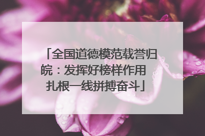 全国道德模范载誉归皖：发挥好榜样作用 扎根一线拼搏奋斗