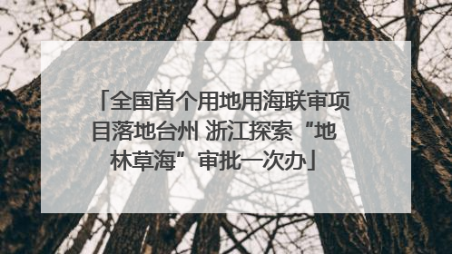 全国首个用地用海联审项目落地台州 浙江探索“地林草海”审批一次办