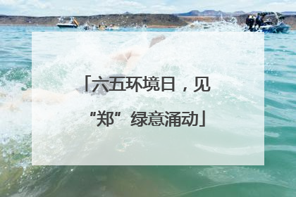 六五环境日，见“郑”绿意涌动