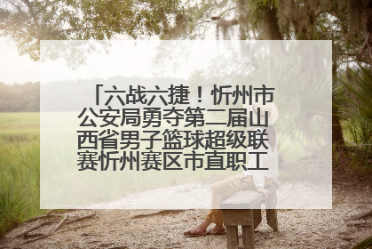 六战六捷！忻州市公安局勇夺第二届山西省男子篮球超级联赛忻州赛区市直职工组比赛冠军