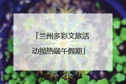兰州多彩文旅活动搅热端午假期