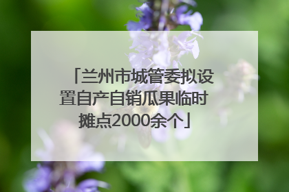 兰州市城管委拟设置自产自销瓜果临时摊点2000余个