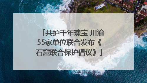 共护千年瑰宝 川渝55家单位联合发布《石窟联合保护倡议》