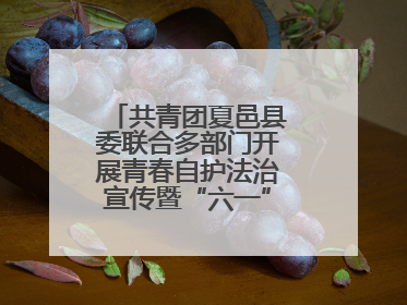 共青团夏邑县委联合多部门开展青春自护法治宣传暨“六一”主题日活动