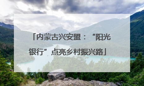 内蒙古兴安盟：“阳光银行”点亮乡村振兴路