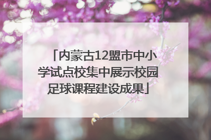 内蒙古12盟市中小学试点校集中展示校园足球课程建设成果