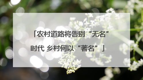 农村道路将告别“无名”时代 乡村何以“著名”