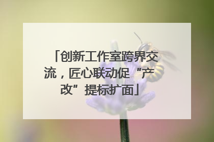 创新工作室跨界交流，匠心联动促“产改”提标扩面