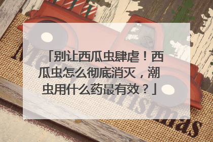 别让西瓜虫肆虐！西瓜虫怎么彻底消灭，潮虫用什么药最有效？