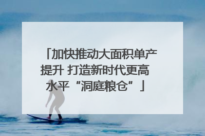加快推动大面积单产提升 打造新时代更高水平“洞庭粮仓”
