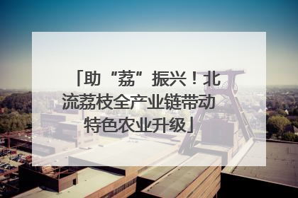 助“荔”振兴！北流荔枝全产业链带动特色农业升级