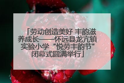 劳动创造美好 丰韵滋养成长——怀远县龙亢镇实验小学“悦劳丰韵节”闭幕式圆满举行