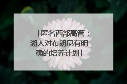 匿名西部高管：湖人对布朗尼有明确的培养计划