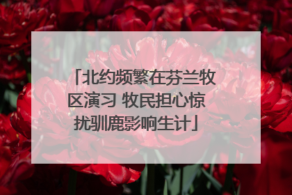 北约频繁在芬兰牧区演习 牧民担心惊扰驯鹿影响生计