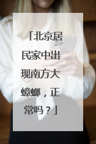 北京居民家中出现南方大蟑螂，正常吗？