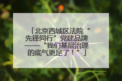 北京西城区法院“先锋同行”党建品牌——“我们基层治理的底气更足了！”