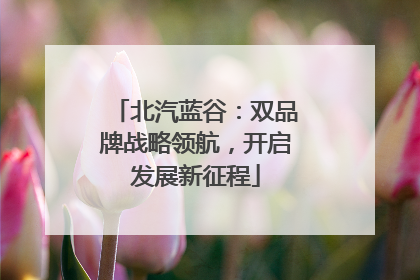 北汽蓝谷：双品牌战略领航，开启发展新征程
