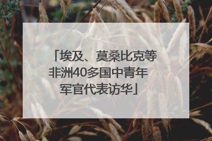 埃及、莫桑比克等非洲40多国中青年军官代表访华