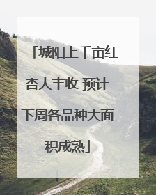 城阳上千亩红杏大丰收 预计下周各品种大面积成熟