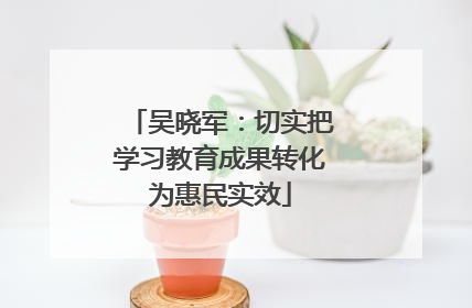 吴晓军：切实把学习教育成果转化为惠民实效