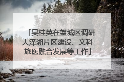吴桂英在望城区调研大泽湖片区建设、文科旅医融合发展等工作