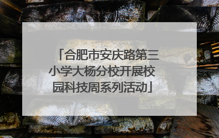 合肥市安庆路第三小学大杨分校开展校园科技周系列活动