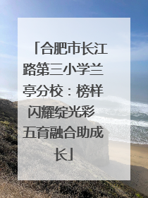 合肥市长江路第三小学兰亭分校：榜样闪耀绽光彩 五育融合助成长