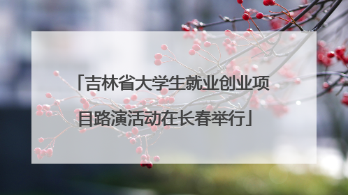 吉林省大学生就业创业项目路演活动在长春举行