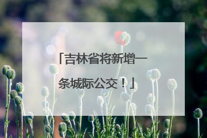 吉林省将新增一条城际公交！