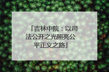 吉林中院：以司法公开之光照亮公平正义之路