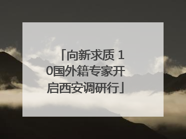 向新求质 10国外籍专家开启西安调研行