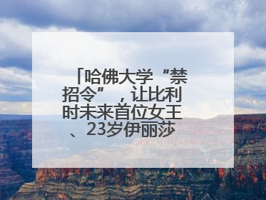 哈佛大学“禁招令”，让比利时未来首位女王、23岁伊丽莎白公主难毕业