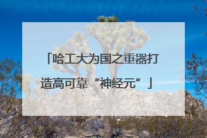哈工大为国之重器打造高可靠“神经元”