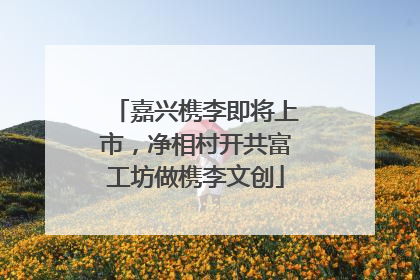 嘉兴槜李即将上市，净相村开共富工坊做槜李文创