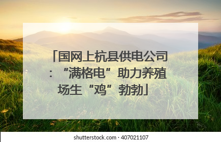 国网上杭县供电公司：“满格电”助力养殖场生“鸡”勃勃