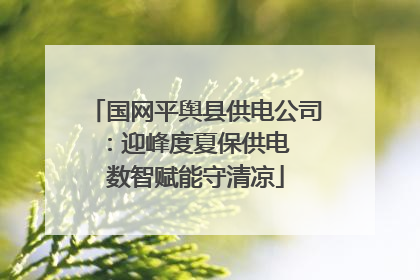 国网平舆县供电公司：迎峰度夏保供电  数智赋能守清凉