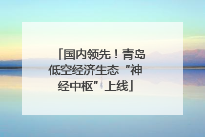 国内领先！青岛低空经济生态“神经中枢”上线