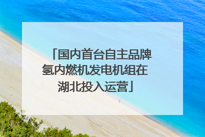 国内首台自主品牌氢内燃机发电机组在湖北投入运营