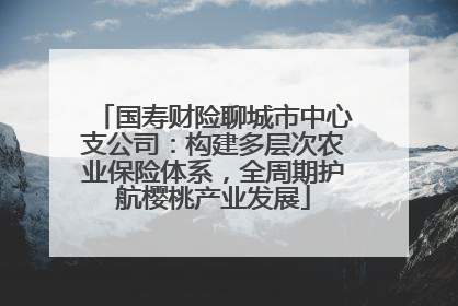 国寿财险聊城市中心支公司：构建多层次农业保险体系，全周期护航樱桃产业发展
