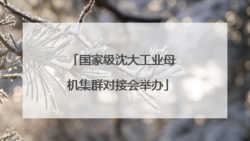 国家级沈大工业母机集群对接会举办