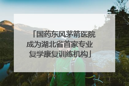 国药东风茅箭医院成为湖北省首家专业复学康复训练机构