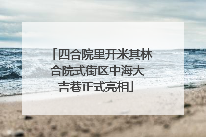 四合院里开米其林 合院式街区中海大吉巷正式亮相