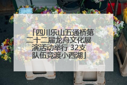 四川乐山五通桥第二十二届龙舟文化展演活动举行 32支队伍竞渡小西湖
