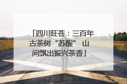 四川旺苍：三百年古茶树“苏醒” 山间飘出振兴茶香