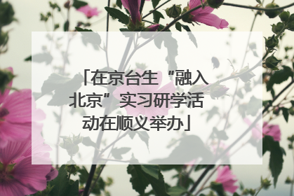 在京台生“融入北京”实习研学活动在顺义举办