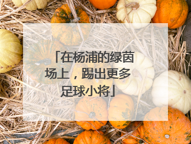 在杨浦的绿茵场上，踢出更多足球小将