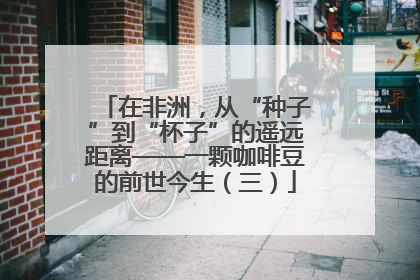在非洲，从“种子”到“杯子”的遥远距离——一颗咖啡豆的前世今生（三）